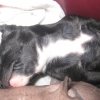 katty3_3 1
